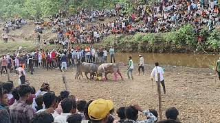 sitara Burhanpur vs borgoav baba hele ki takkar [upl. by Yer546]