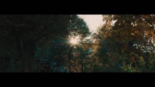 Panasonic GH4 43 Schneider Super Cinelux Anamorphic 2X MC [upl. by Julietta751]