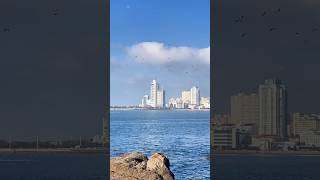 Seaside Skyline and Ocean Breezes [upl. by Aieken]