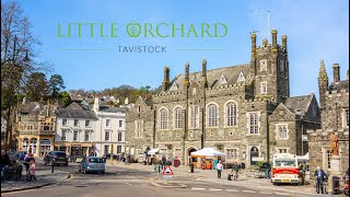 Little Orchard  New homes coming soon to Tavistock [upl. by Eddy]