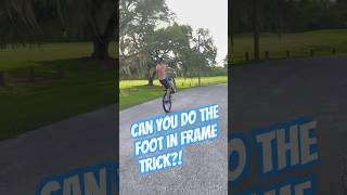 Super Easy wheelie trick anyone can learn bicycle wheelies trendingshorts [upl. by Rissa]