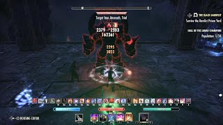 ESO  Stamina EC Necro 100K U41 [upl. by Cilurzo]