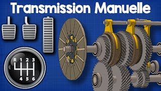 Transmission Manuelle [upl. by Eiuqnimod]