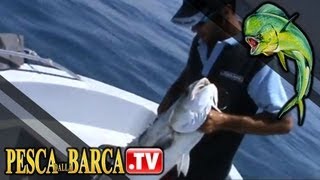 Come pescare le grandi lecce  Pesca Dalla Barca TV [upl. by Htevi]