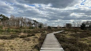 Trailrun Soestduinen [upl. by Hut]