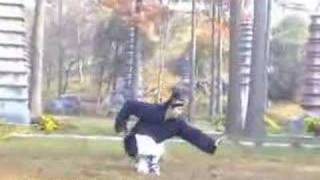 Fuhu Quan  Tiger Form  China Wudang Kungfu  Master Chen Shixing [upl. by Adah]