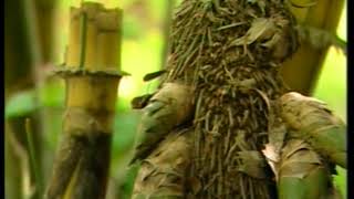 Where the tallest Grass Grow Documentary on Bamboo [upl. by Akilegna]