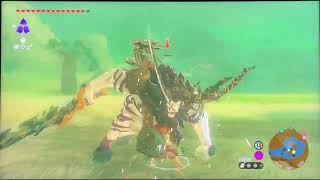 Tryhard Zelda TOTK  Silver Lynel Locations Surface Only  No DamageNo Attack UpNo Save [upl. by Enairb]