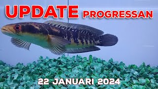 Update Progress amp Treatment 22 Jan 24 [upl. by Nabi]