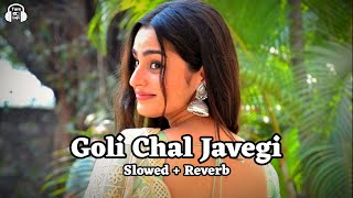 Goli Chal Javegi  Slowed amp Reverb  Latest Haryanvi Song  New Lofi Song [upl. by Nakeber]