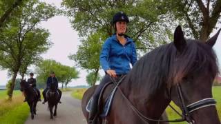 Trail ride with farmer Jan and Lia  Buitenrit met Boer Jan en Lia in Friesland  Friesian horses [upl. by Neelyhtak]