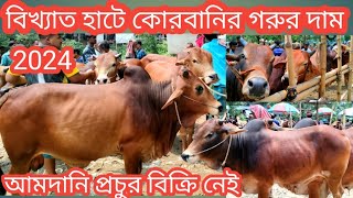 2024 korbanir gorur hat ৯০ হাজারে কোরবানির ষাঁড় গরু প্রচুর আমদানি বিক্রি নেই gorur hat Narsingdi [upl. by Jolie]