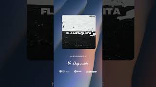 Flamenquita by Toni y Mane music [upl. by Oakleil]