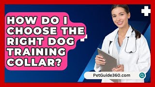 How Do I Choose the Right Dog Training Collar  PetGuide360com [upl. by Sello]