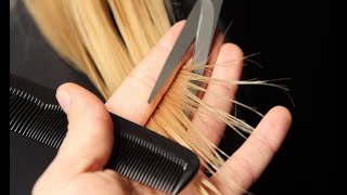 How to Cut wolf Hair  Long layered Haircut Tutorial for women  Wolf Cut TIPS amp Techniques [upl. by Ycniuqed]