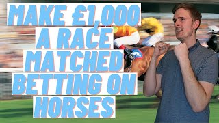 Matched Betting on Horses for Beginners guide amp tutorial using OddsMonkey or Profit accumulator [upl. by Barbaraanne457]