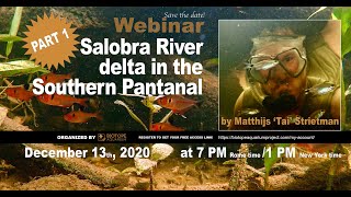 The Salobra River delta Webinar by Tai Strietmann Part 1 [upl. by Osugi633]