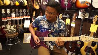 Visiting guitar shops in Japan  2019 [upl. by Skrap881]