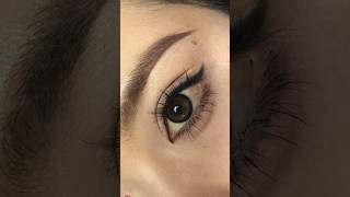 How to Apply False Lower Eyelashes for a Stunning Look FalseEyelashes LowerLashes shorts makeup [upl. by Enyrb]