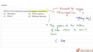 Which of the following represents obligate anaerobes [upl. by Hcahsem487]