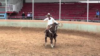 Lienzo Charro Espuelas de Plata HD [upl. by Yerffe]