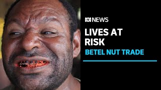 PNG traders taking great risks to obtain betel nut  ABC News [upl. by Bentlee]