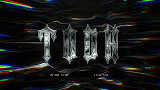 Zehr Vibe x Intense  Todh Official Visualizer  111 EP [upl. by Esenahs]