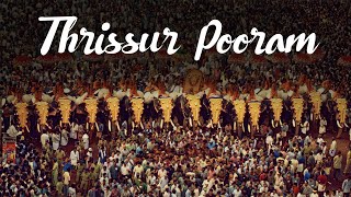 Thrissur Pooram Festival  Kerala Festivals  Pilgrim Tourism  Kerala Tourism [upl. by Anelyak]