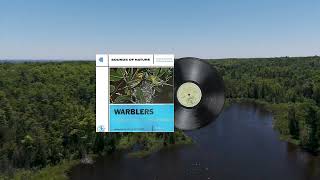 Sounds of Nature  Warblers Songs of Warblers of Eastern North America EP [upl. by Black]