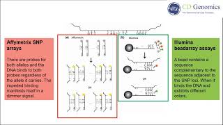 SNP Genotyping Technologies [upl. by Aiza]