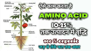 Amino acideएमिनो एसिड का पौधे पर काम।how to work amino acide [upl. by Emelina819]