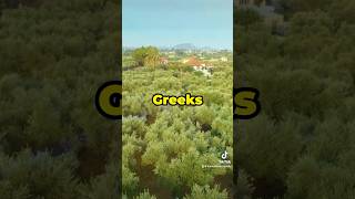 3 mindblowing facts about ancient Greeks history facts ancients greece 2024 factsdaily [upl. by Assilana836]