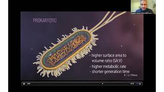 Complexity and Compartmentalization in Cells  Part 1 [upl. by Refynnej]