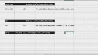 ROI ROA ROE y ROIC  Formulas e Interpretación [upl. by Werdnael]