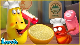 LARVA SEASON 2 EPISODE Chef  COMICS  MINI SERIES FROM ANIMATION [upl. by Ymmac564]