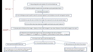 Angiographic 3 Dimensional Antegrade Puncture Technique ADAPT wiring  my best effort to explain it [upl. by Brew]