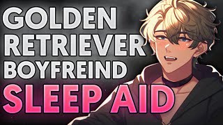 Your Golden Retriever Boyfriend Helps You Sleep boyfriend asmr  wholesome roleplay  m4f [upl. by Esirtal]