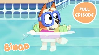 Bingo in the Pool 💧🧡  Bluey Series 1 FULL EPISODE  Bingo  Official Channel [upl. by Cassaundra979]