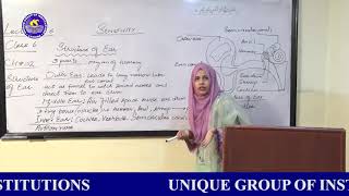 Online Lecture  6 Class  6 Book G Science [upl. by Shepperd]