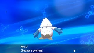 SHINY SNOVER EVOLUTION Pokemon Sword and Shield [upl. by Edijabab]