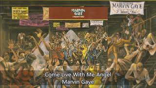 Come Live With Me Angel  Marvin Gaye [upl. by Ellegna105]