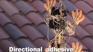 Directional adhesive compared with pressure sensitive adhesive [upl. by Karina438]