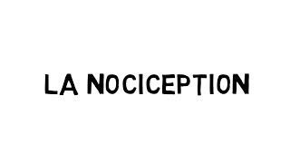 La nociception DESORDRES DDS 2018  exposition numérique [upl. by Omsoc]