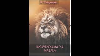 Ingwenyama ya mabale spirit song Hear the ancient prayer to summon the Ingwenyama [upl. by Airel]