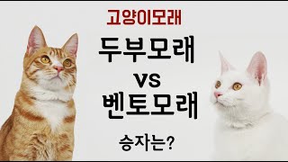 고양이는 두부모래보다 벤토모래를 더 좋아할까 김집사의 고양이 배변교실 8 [upl. by Breen]