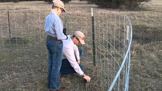 How to Set a Trip Line for a Hog Wild Trap [upl. by Jarnagin677]