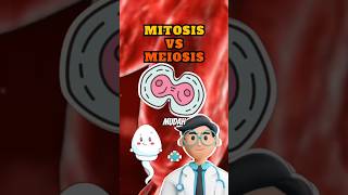 Mitosis amp Meiosis ▶️ Pembelahan Sel  Biologi Kelas 12 Kurikulum Merdeka 🔬 [upl. by Riffle]