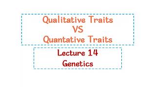 Qualitative traits VS Quantitative Traits  Genetics Lecture 14 [upl. by Carn]