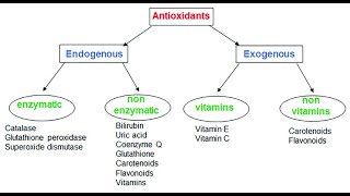 Classes of Antioxidants  Enzymatic Non enzymatic Phenolic Thiolic Carotenoids [upl. by Dorinda]