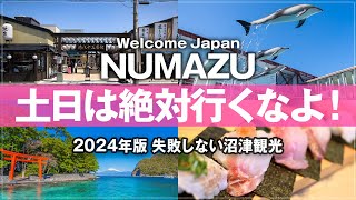 【静岡県 沼津市 観光 2024年最新版】ここだけ行けば沼津は大満足！失敗しない沼津旅行 モデルコース 沼津港 伊豆・三津シーパラダイス 沼津港深海水族館シーラカンス・ミュージアム 伊豆長岡温泉 [upl. by Alaj]